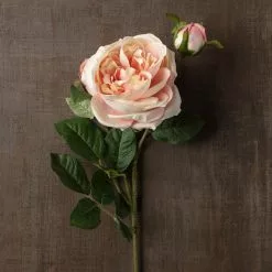 Flash Sale ⭐ 12 Pack: Light Pink English Rose Stem by Ashland® 💯 -Michaels Store MP461605 25