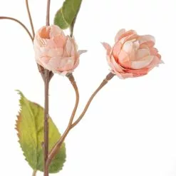 Deals ๐ฅฐ 12 Pack: Blush Hops Stem by Ashland® โ 7 Deals ๐ฅฐ 12 Pack: Blush Hops Stem by Ashland® โ -Michaels Store MP461606 20