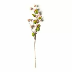 Deals ๐ฅฐ 12 Pack: Blush Hops Stem by Ashland® โ 8 Deals ๐ฅฐ 12 Pack: Blush Hops Stem by Ashland® โ -Michaels Store MP461606 21