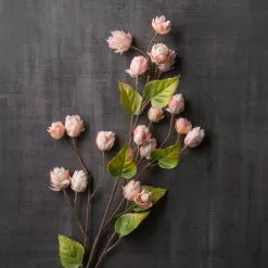 Deals ๐ฅฐ 12 Pack: Blush Hops Stem by Ashland® โ 9 Deals ๐ฅฐ 12 Pack: Blush Hops Stem by Ashland® โ -Michaels Store MP461606 22