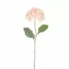 Promo ⭐ 12 Pack: Peach Pink Hydrangea Stem by Ashland® 🔔