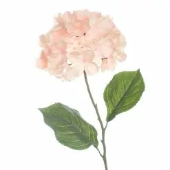 Promo ⭐ 12 Pack: Peach Pink Hydrangea Stem by Ashland® 🔔 -Michaels Store MP461651 2