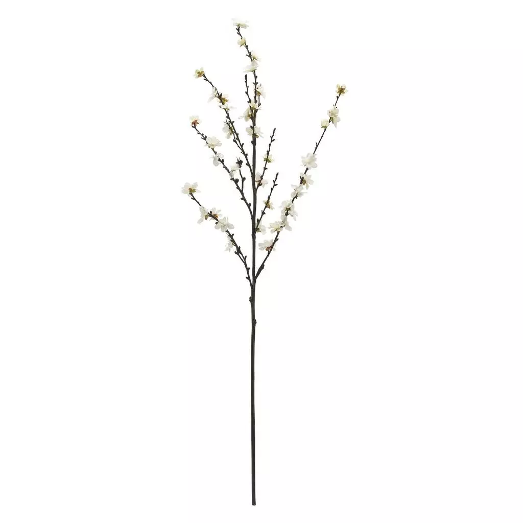 Buy ❤️ 12 Pack: Cream Peach Blossom Stem by Ashland® 🛒 3 Buy ❤️ 12 Pack: Cream Peach Blossom Stem by Ashland® 🛒