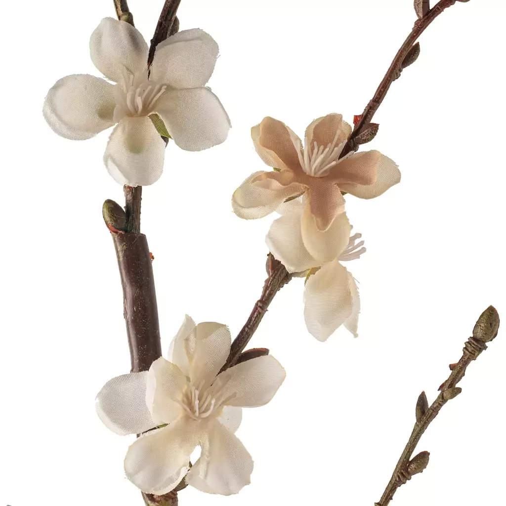 Buy ❤️ 12 Pack: Cream Peach Blossom Stem by Ashland® 🛒 5 Buy ❤️ 12 Pack: Cream Peach Blossom Stem by Ashland® 🛒 - Image 3