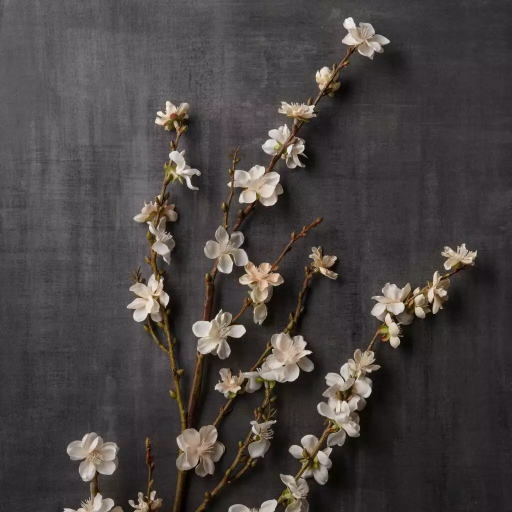 Buy ❤️ 12 Pack: Cream Peach Blossom Stem by Ashland® 🛒 6 Buy ❤️ 12 Pack: Cream Peach Blossom Stem by Ashland® 🛒 - Image 4