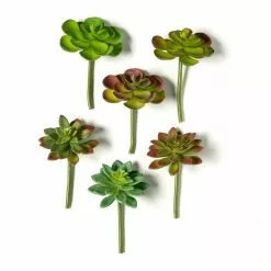 Discount π₯° 12 Pack: Assorted Snap-On Succulent Pick by Ashland® β 9 Discount π₯° 12 Pack: Assorted Snap-On Succulent Pick by Ashland® β -Michaels Store MP482105 21