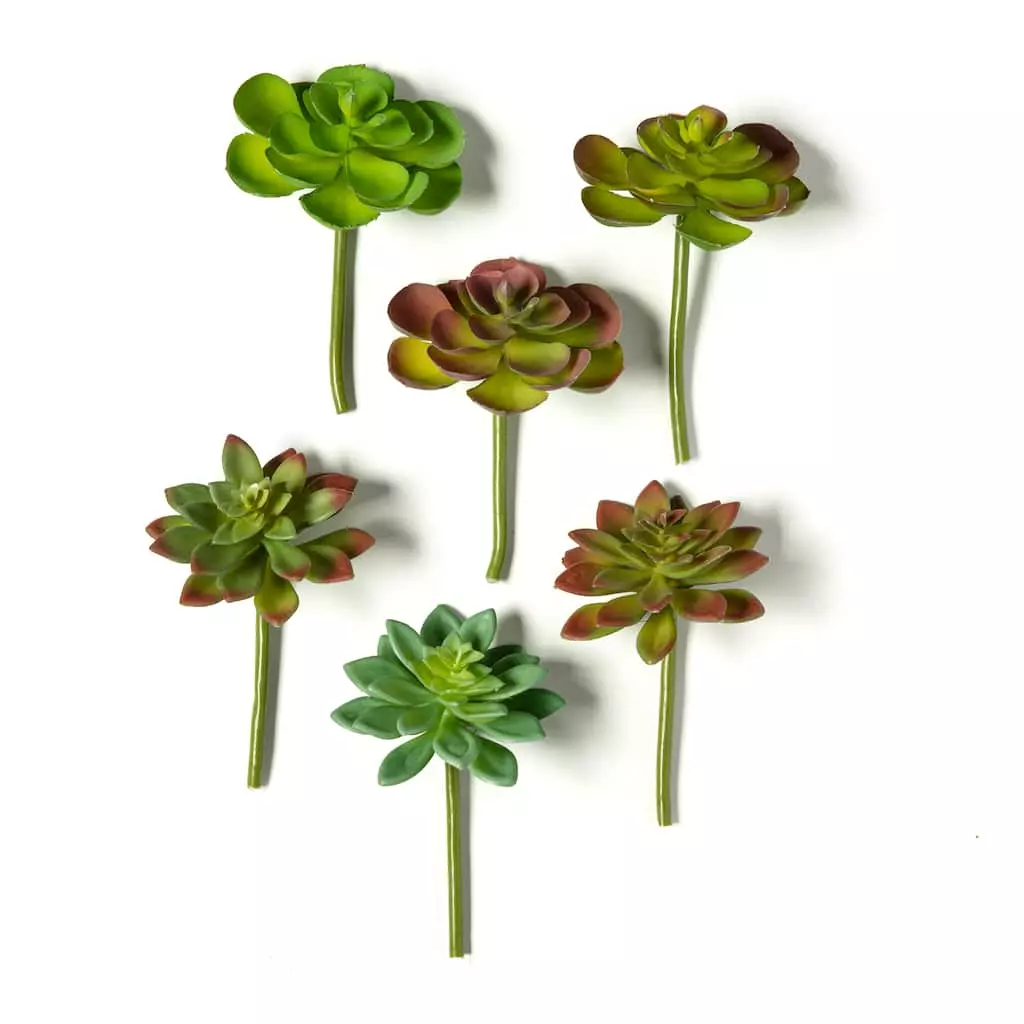 Discount π₯° 12 Pack: Assorted Snap-On Succulent Pick by Ashland® β 6 Discount π₯° 12 Pack: Assorted Snap-On Succulent Pick by Ashland® β - Image 4