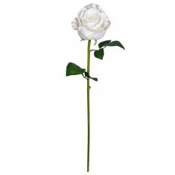 Best reviews of ✔️ 12 Pack: White Faux Rose by Ashland® ✨