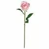 Best reviews of 🥰 12 Pack: Light Pink Faux Rose by Ashland® 🤩 -Michaels Store MP501467 1