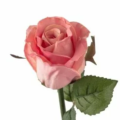 Best reviews of 🥰 12 Pack: Light Pink Faux Rose by Ashland® 🤩 -Michaels Store MP501467 20