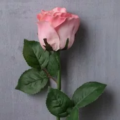 Best reviews of 🥰 12 Pack: Light Pink Faux Rose by Ashland® 🤩 -Michaels Store MP501467 22