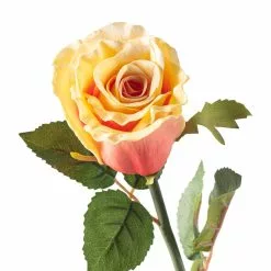 Cheapest 💯 12 Pack: Coral Faux Rose by Ashland® ✔️ -Michaels Store MP501469 20