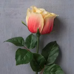 Cheapest 💯 12 Pack: Coral Faux Rose by Ashland® ✔️ -Michaels Store MP501469 22