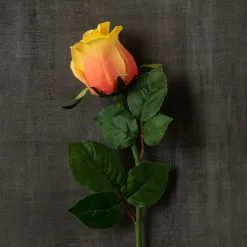 Wholesale 😍 12 Pack: Peach Faux Rose by Ashland® ✨ -Michaels Store MP501471 25