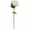 Best reviews of ✔️ 12 Pack: White King Peony Stem by Ashland® 👏 -Michaels Store MP501479 1