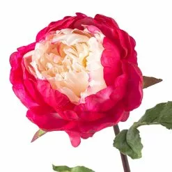 Best reviews of ❤️ 12 Pack: Fuchsia King Peony Stem by Ashland® 👏 -Michaels Store MP501483 20
