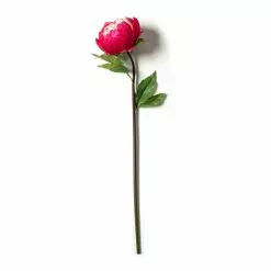 Best reviews of ❤️ 12 Pack: Fuchsia King Peony Stem by Ashland® 👏 -Michaels Store MP501483 21