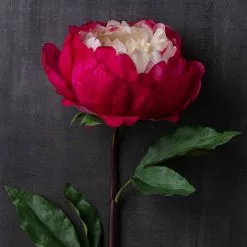 Best reviews of ❤️ 12 Pack: Fuchsia King Peony Stem by Ashland® 👏 -Michaels Store MP501483 22