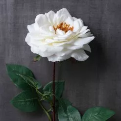 Cheapest 🤩 12 Pack: White Orlane Rose Stem by Ashland® ✨ -Michaels Store MP501485 22