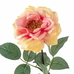 Flash Sale ⌛ 12 Pack: Coral Orlane Rose Stem by Ashland® ❤️ -Michaels Store MP501486 20