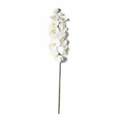 Budget ❤️ 8 Pack: White Orchid Stem by Ashland® 🥰 -Michaels Store MP501488 21