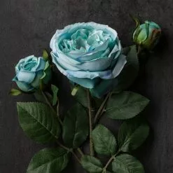 Coupon 😀 12 Pack: Teal English Rose Stem by Ashland® 🎉 -Michaels Store MP501506 22