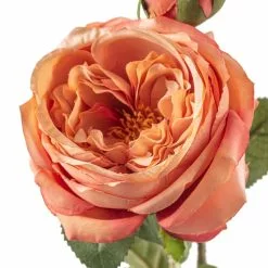 Best Sale ❤️ 12 Pack: Pink Coral English Rose Stem by Ashland® 🔔 -Michaels Store MP501509 20