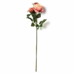 Best Sale ❤️ 12 Pack: Pink Coral English Rose Stem by Ashland® 🔔 -Michaels Store MP501509 21