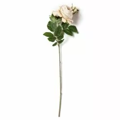 Outlet 😍 12 Pack: Toast English Rose Stem by Ashland® 🎉 -Michaels Store MP501510 21