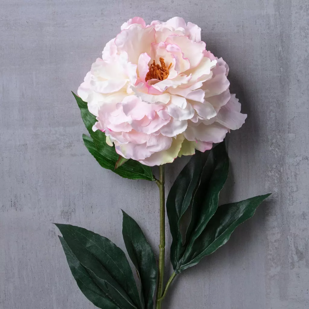 Promo 👍 12 Pack: Light Pink Peony Stem by Ashland® ✨ 6 Promo 👍 12 Pack: Light Pink Peony Stem by Ashland® ✨ - Image 4