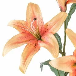 Best reviews of 🥰 12 Pack: Flame Casablanca Lily Stem by Ashland® 🎁 -Michaels Store MP501957 20
