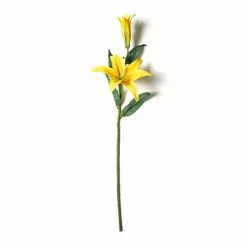 Cheap 😉 12 Pack: Yellow Casablanca Lily Stem by Ashland® ⭐ -Michaels Store MP501959 21