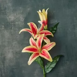 Budget 👏 12 Pack: Hot Pink Casablanca Lily Stem by Ashland® 🧨 -Michaels Store MP501960 20