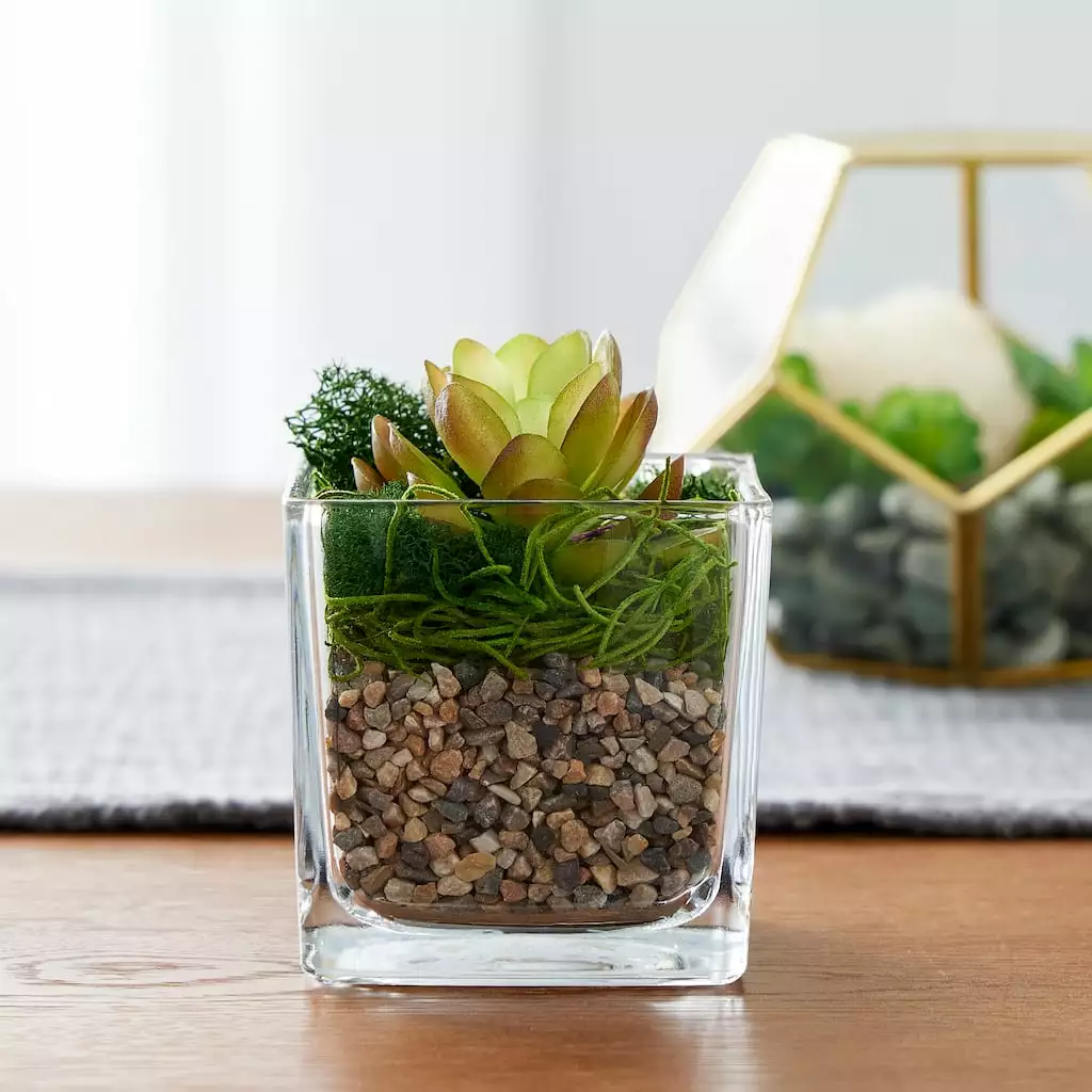 Top 10 ⭐ 16 Pack: Natural Baby Rocks by Ashland® ⭐ 4 Top 10 ⭐ 16 Pack: Natural Baby Rocks by Ashland® ⭐ - Image 2