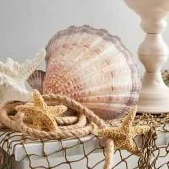 Buy 😍 12 Pack: 7mm Rope Spool by Ashland™ ❤️ -Michaels Store MP525507 20