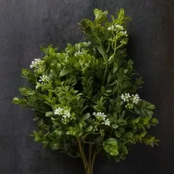 Buy 🎁 9 Pack: Boxwood & Berry Bush by Ashland® ⭐ -Michaels Store MP546917 22