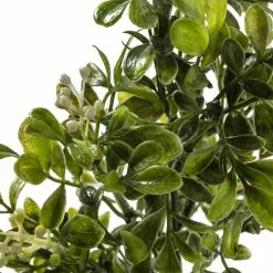 Coupon π 24 Pack: Green Boxwood Pick by Ashland® π 9 Coupon π 24 Pack: Green Boxwood Pick by Ashland® π -Michaels Store MP546920 20