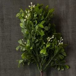 Coupon π 24 Pack: Green Boxwood Pick by Ashland® π 11 Coupon π 24 Pack: Green Boxwood Pick by Ashland® π -Michaels Store MP546920 25