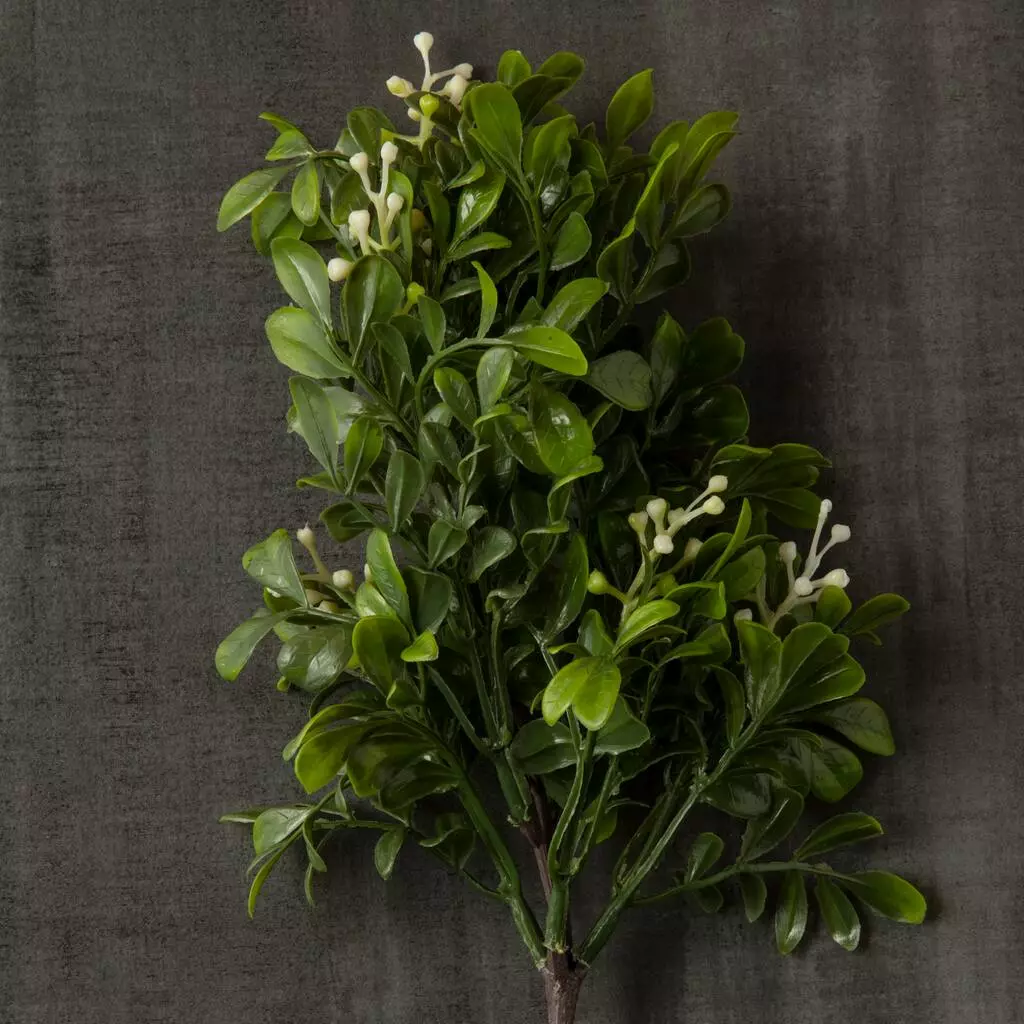 Coupon π 24 Pack: Green Boxwood Pick by Ashland® π 7 Coupon π 24 Pack: Green Boxwood Pick by Ashland® π - Image 5