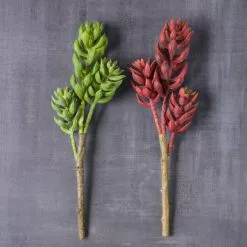 Flash Sale ⭐ 24 Pack: Assorted 3 Head Succulent Pick by Ashland® ⌛ 12 Flash Sale ⭐ 24 Pack: Assorted 3 Head Succulent Pick by Ashland® ⌛ -Michaels Store MP546921 22