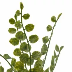 Cheap ✔️ 18 Pack: Assorted Fern Pick by Ashland® ✨ 10 Cheap ✔️ 18 Pack: Assorted Fern Pick by Ashland® ✨ -Michaels Store MP546923 20