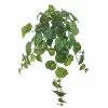 Deals ⌛ 12 Pack: Hanging Philo Bush by Ashland® ⭐ 1 Deals ⌛ 12 Pack: Hanging Philo Bush by Ashland® ⭐ -Michaels Store MP547222 1