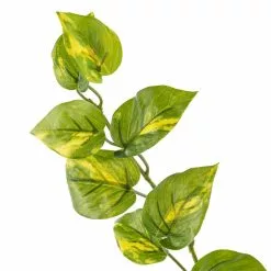 Deals ⌛ 12 Pack: Hanging Philo Bush by Ashland® ⭐ -Michaels Store MP547222 20