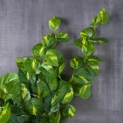 Deals ⌛ 12 Pack: Hanging Philo Bush by Ashland® ⭐ -Michaels Store MP547222 22