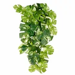 Best deal ❤️ 12 Pack: Split Hanging Philo Bush by Ashland® 👍