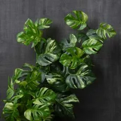 Best deal ❤️ 12 Pack: Split Hanging Philo Bush by Ashland® 👍 -Michaels Store MP547223 22