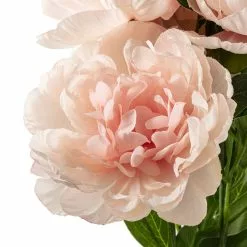 Deals 💯 12 Pack: Coral Peony Bush by Ashland® 👏 -Michaels Store MP547347 20
