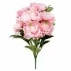 Best deal 😍 12 Pack: Pink Peony Bush by Ashland® ❤️