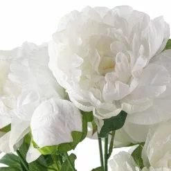 New π 12 Pack: White Peony Bush by Ashland® β€οΈ 10 New π 12 Pack: White Peony Bush by Ashland® β€οΈ -Michaels Store MP547350 20