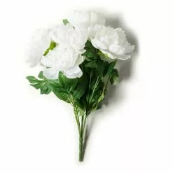 New π 12 Pack: White Peony Bush by Ashland® β€οΈ 11 New π 12 Pack: White Peony Bush by Ashland® β€οΈ -Michaels Store MP547350 21